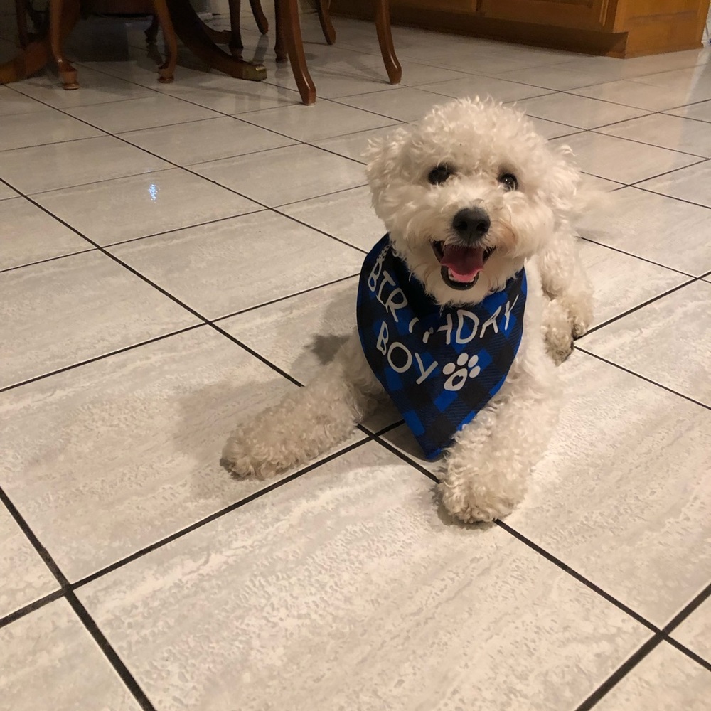 Meet your Posher, Jane